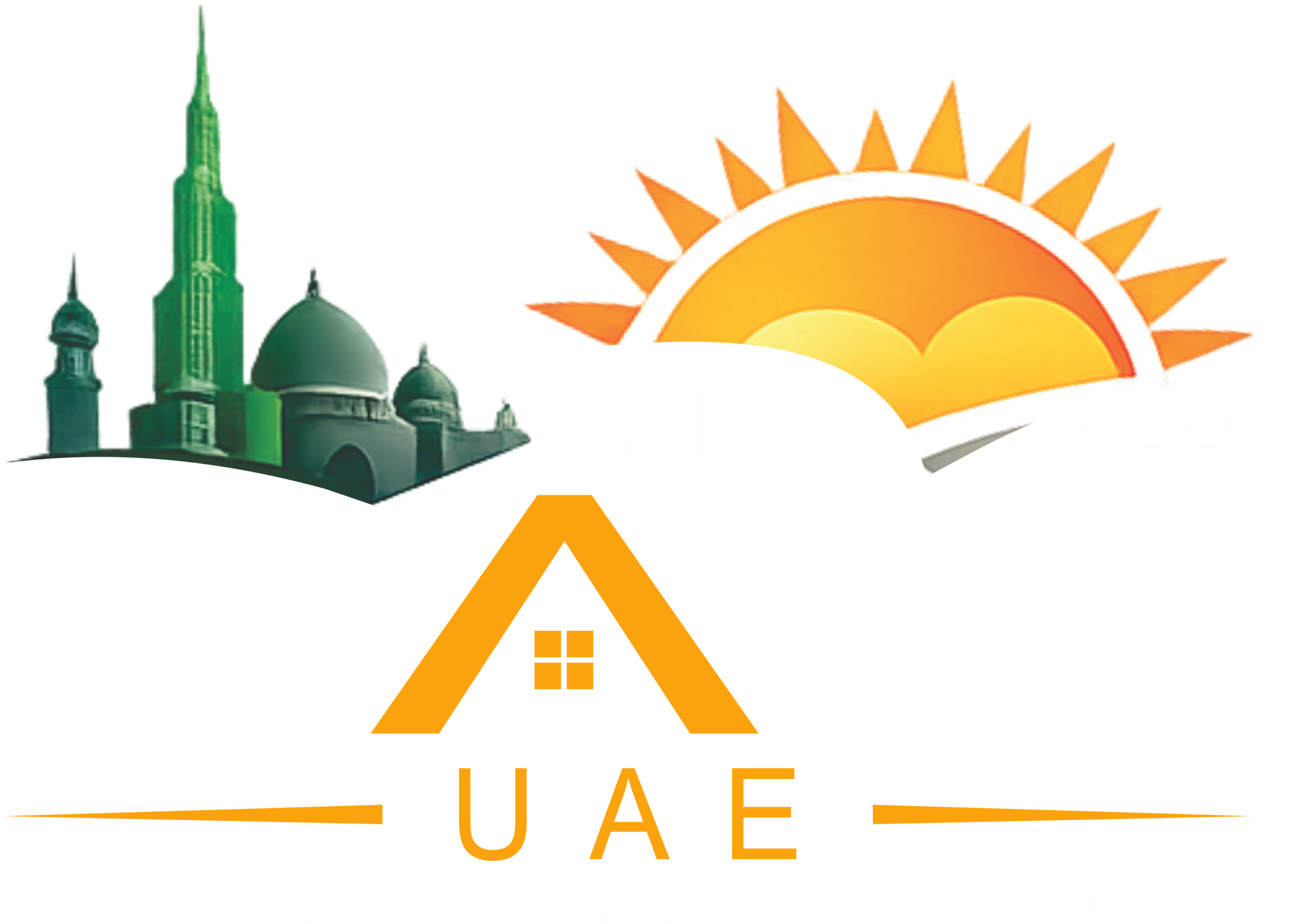 NAQI cleaning service